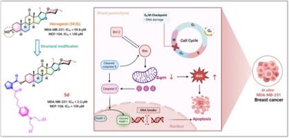 Hecogenin‑nitrogen mustard hybrids with improved anti-breast cancer activity: Design, synthesis, and biological evaluation