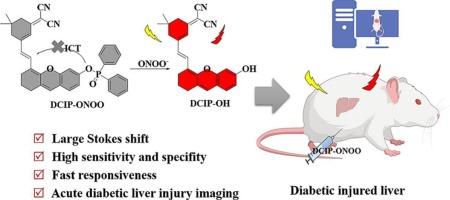 Peroxynitrite-responsive dicyanoisophorone-xanthene NIR fluorescent probe for monitoring and therapeutic evaluation of diabetic liver injury