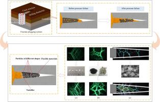 Fracture plugging failure under oil-based drilling fluids condition in deep geoenergy formations: A mesoscopic mechanical structure evolution perspective