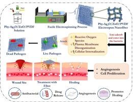 Phytol and metal oxide-loaded electrospun polyvinylidene fluoride nanofibers for infection control and regenerative wound healing