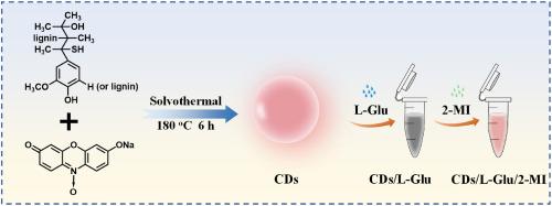 Dual-functional carbon dots for fluorescent detection of L-Glutamic acid and 2-Methylimidazole in complex matrices: Applications in food safety and environmental monitoring