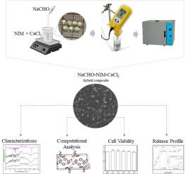 Theoretical and experimental investigation of a nimesulide-alginate hybrid composite: Physicochemical characterization, cytotoxicity and release profile
