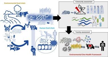 The soil nematode exposome: Unraveling the impacts of particulate plastics from agroecosystems to one health