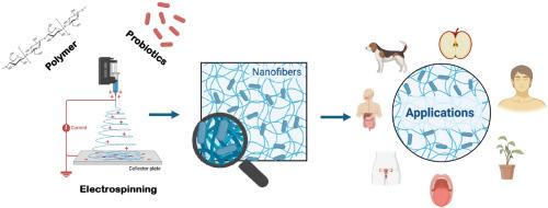 Polymeric nanofibers as advanced probiotic carriers: Production strategies, functional performance, and emerging applications