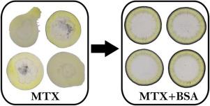Stabilization of drug droplet contact line via Bovine Serum Albumin Solution-Phase Additive