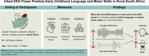 Infant EEG power predicts early childhood language and motor skills in a rural South African cohort