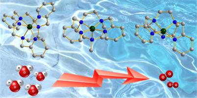 Synthesis, structural studies and electrocatalytic water oxidation properties of molecular copper complexes: The influence of N-alkylation of ligand and coordination number