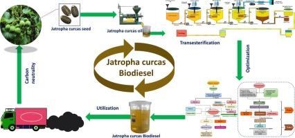 Hybrid entropy-VIKOR optimization of Jatropha curcas biodiesel synthesis with advanced transesterification reaction input parametric analysis for yield, viscosity, and density