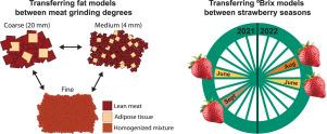 Raman and NIR spectroscopy: A discussion of calibration robustness for food quality measurements through two case studies