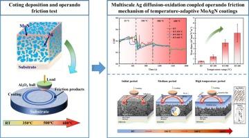 Temperature-adaptive MoN-Ag coatings under operando tribology: multiscale Ag diffusion-oxidation coupling