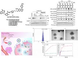 Olaparib-Cediranib Hybrid as Dual PARP-VEGFR3 Inhibitor Elicits Antitumor Efficacy: Rational Design, Synthesis, Biological Evaluation and Construction of a Charge Convertible pH Responsive Nanoformulation