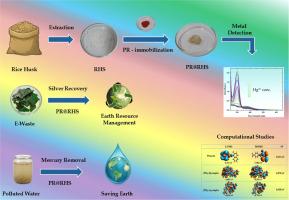 Azo-based-functionalized rice husk silica nanocomposites for dual-mode sensing of Hg(II) and Ag(I): Experimental insights and DFT-elucidated mechanism