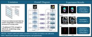 FE-MAANet: A frequency-enhanced multi-scale adaptive attention network for medical image segmentation