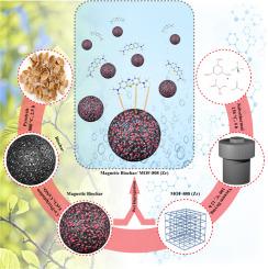 Zirconium-based MOF-808 loaded magnetic biochar derived from biomass: Magnetic nanocomposite characterization and adsorption performance