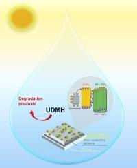 A study on interfacial regulation and function mechanism of S-scheme 001-TiO2/CeO2 two-dimensional charge-separation Interface for photocatalytic degradation of unsymmetrical Dimethylhydrazine