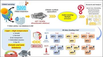 Combined physiological effects of high temperature and salinity stress on genetically improved farmed tilapia (Oreochromis niloticus) reared in inland saline water