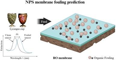 Nano-plasmonic sensing for predicting fouling on a reverse osmosis membrane