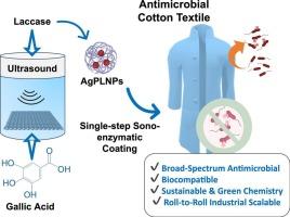 Scaling up the sono-enzymatic coating of cotton textiles with antimicrobial silver-phenolated lignin nanocomposites