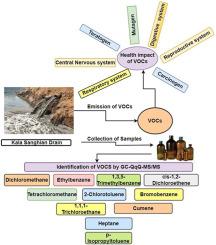 An investigatory study and risk assessment for the existence of hazardous volatile organic compounds in Kala Sanghian Drain, Punjab, India