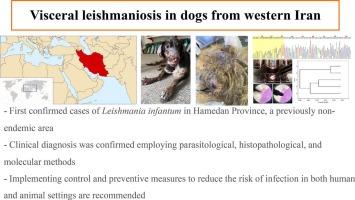 Visceral leishmaniosis in dogs from western Iran