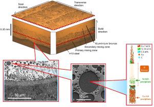 Directed energy deposition of aluminium bronze onto H13 steel-microstructure in multi-material additive manufacturing