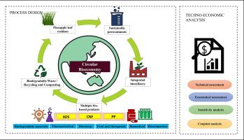 Techno-economic evaluation of multiple product scenarios from pineapple leaf waste in integrated biorefinery