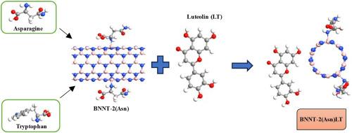 Computational insights into amino acid functionalized boron nitride nanotube (BNNT) as a tunable nanocarrier for drug delivery applications