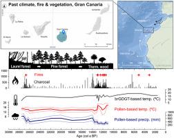 Millennial-scale climatic variability and fire regimes and their impacts on vegetation in Gran Canaria since since 28 cal ka BP