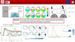 Effect of gas nuclei on the primary stage of shock–droplet interaction