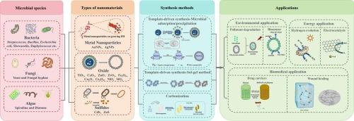 Microbial nanofactories: A mini-review on sustainable biosynthesis of nanomaterials