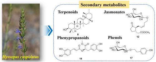Secondary metabolites from the arial parts of Hyssopus cuspidatus Boriss. and their chemotaxonomic significance