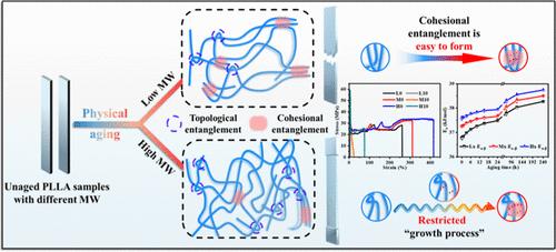 Microstructure and Performance Evolution of Poly(l-Lactic Acid) during Physical Aging: Effect of Molecular Weight