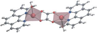 Sonochemical and Solvothermal Synthesis of a Novel Nano Cu(II) Coordination Complex [Cu2(ox)(Phen)2(H2O)2](NO3)2: Structural, Morphological, and Theoretical Investigation