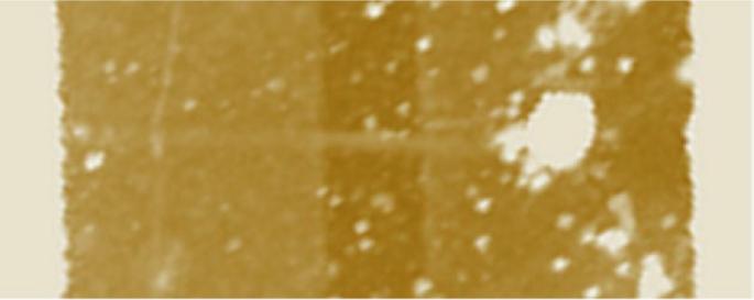 Black phosphorus nanoribbons for future integrated circuits