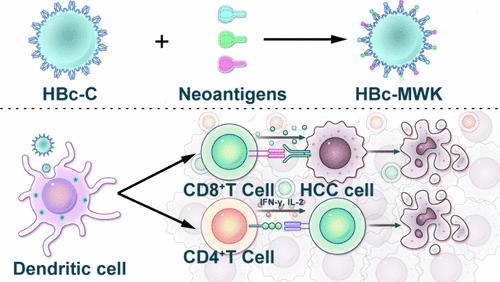 Virus-Like Particle-Based Personalized Neoantigen Nano-Vaccine for Tumor Immunotherapy and Recurrence Prevention
