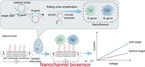 Graphene Oxide Nanofluidic Ion Channels with Two-Gene Rolling Circle Amplification for Ultrasensitive and Specific Detection of SARS-CoV-2