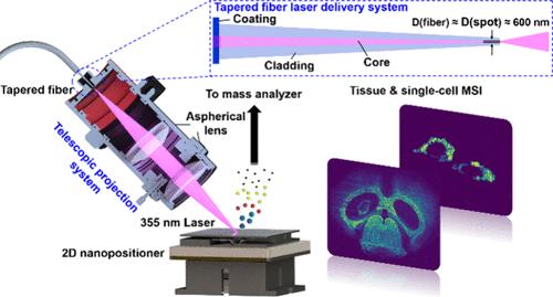 Nanoscale Single-Cell Mass Spectrometry Imaging via Tapered Fiber Projection Laser Desorption/Ionization Mass Spectrometry