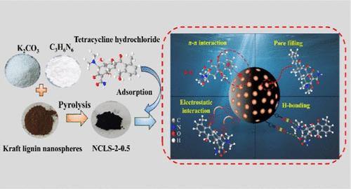 Nitrogen-Doped Lignin-Derived Porous Carbon Spheres for Efficient Adsorption of Tetracycline Hydrochloride