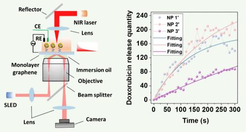 Monitoring Chemotherapeutic Drugs Release from the Single Core–Shell Nanocarrier at a Monolayer Graphene-Based Total Internal Reflection Imaging Platform