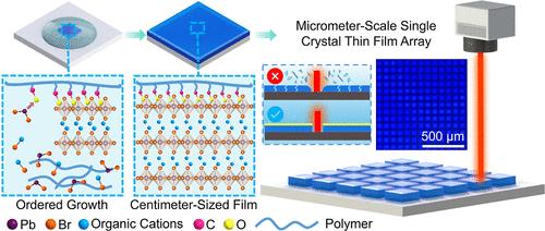 A Top-Down Polymer Collaborative Manufacturing of Perovskite Single Crystal Film Patterns