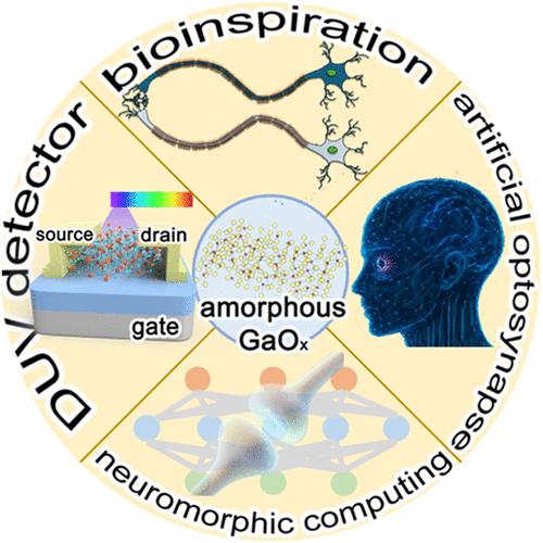Artificial Solar-Blind Optosynapses Using Amorphous Gallium Oxide Phototransistors for Optical In-Sensor Neuromorphic Applications