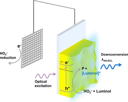 All-Optical Electrochemiluminescence by Light Downconversion at BiVO4 Photoanodes
