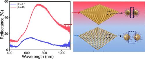pH-Modulated Nanogaps in Self-Assembling Gold Nanoparticle Metasurface
