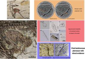 First occurrence of phytoliths in pterosaurs—evidence for herbivory