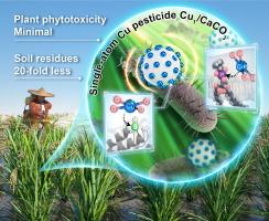 A copper-based single-atom material effectively controls plant diseases with nearly zero soil residue and low phytotoxicity