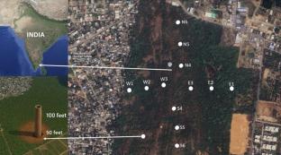 Integrated Assessment of Natural Radioactivity, Microbial Load, and Soil pH in Rocks from Perumbakkam Hills, Tamil Nadu