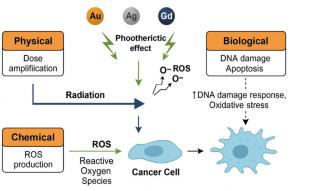 Enhanced Radiosensitization of Cancer Cell Lines Using Nanoparticles: Mechanisms, Experimental Approaches and Clinical Translation—A Review