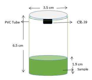 Evaluation of Radon Exhalation from Vegetables with Estimation of the Lifetime Radiological Cancer Risk