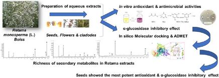 Phytochemical Profiling and In Vitro/In Silico Evaluation of α-Glucosidase Inhibition, Antimicrobial and Antioxidant Activities in Retama monosperma Decoctions