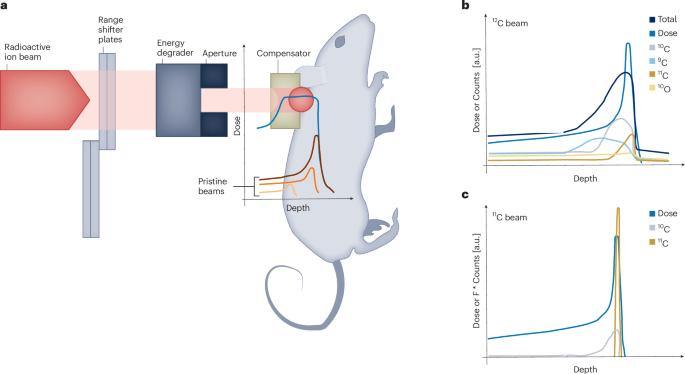 Radioactive ion beams for radiotherapy